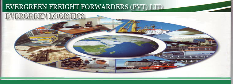 Evergreen Rowing - Maas Shells & Sculling Boats